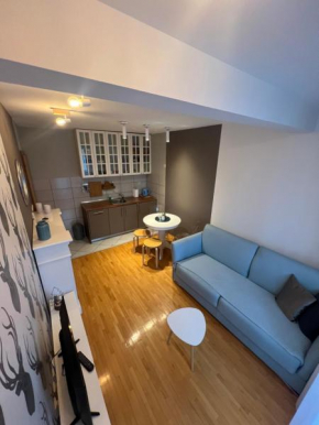 Apartman Jelen